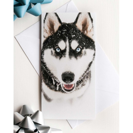 Pocket Card Husky