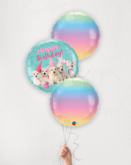 Balloon Bouquet Ombre Puppies