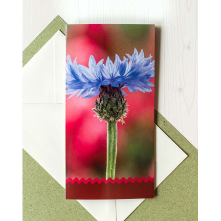 Pocket Card Cornflower