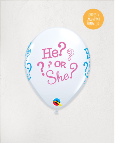 Latex Balloon He? or She? - Balloons for gender reveal party - Agapics